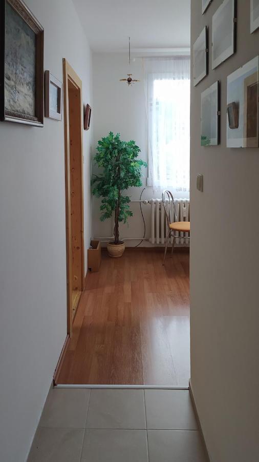 Apartman V Srní Eksteriør billede