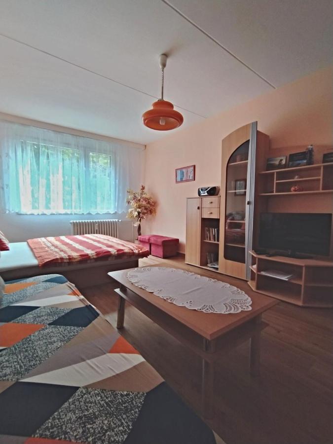 Apartman V Srní Eksteriør billede