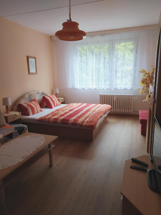 Apartman V Srní Eksteriør billede